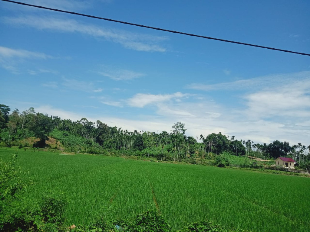 Lahan pertanian yang ada di Gampong Bidok